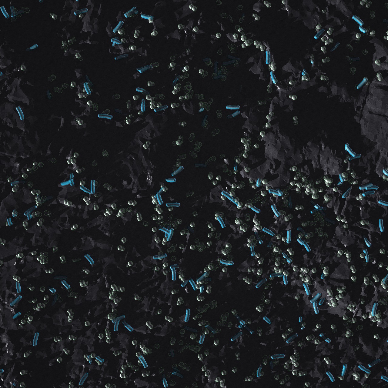 Coalbed Systems
