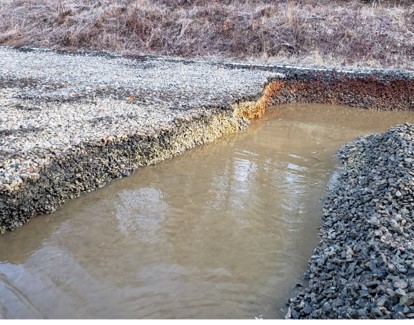 Biological Critical Material Recovery