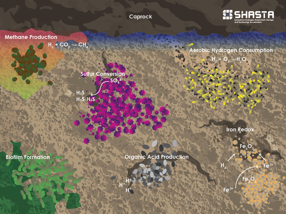 Subsurface Hydrogen Storage